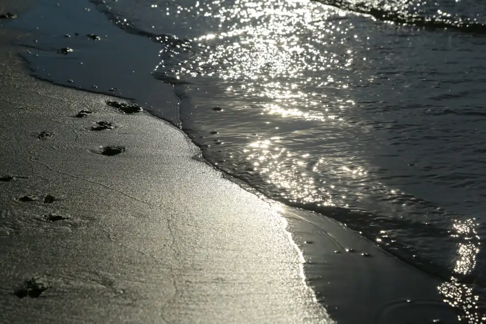Jean-Paul ALLAGNAT